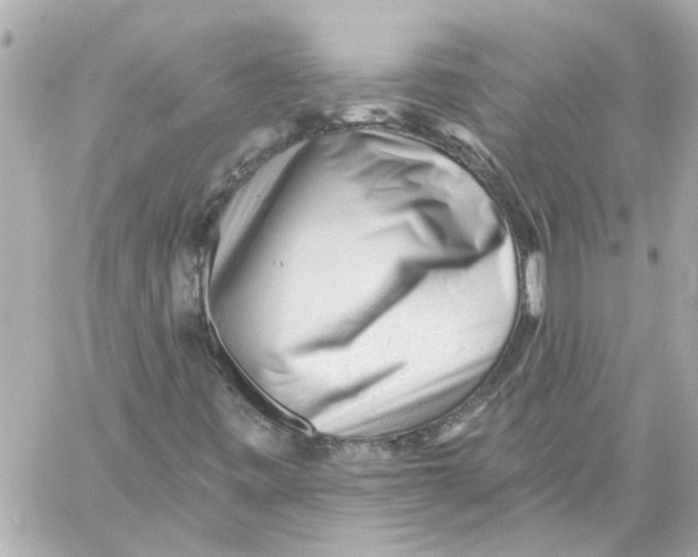 X0000059081443200511041809