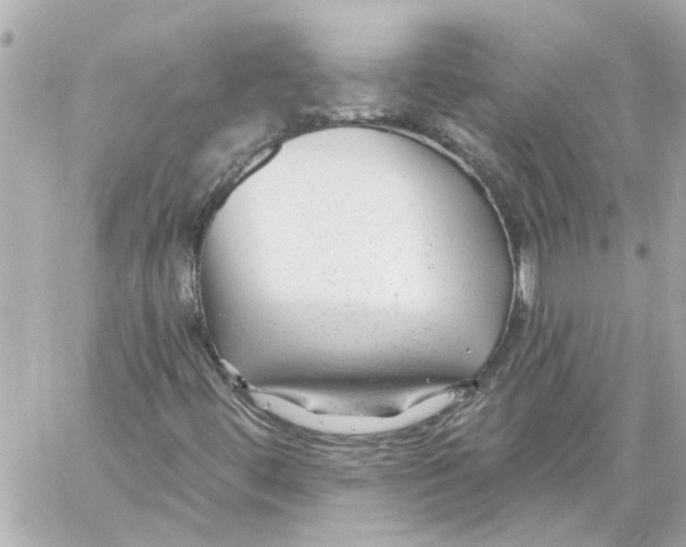 X0000059081444200511041809