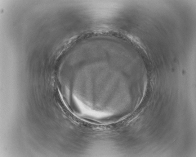 X0000059081445200511041809