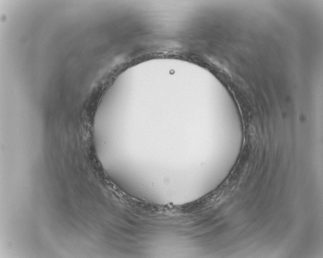 X0000059081447200511041809