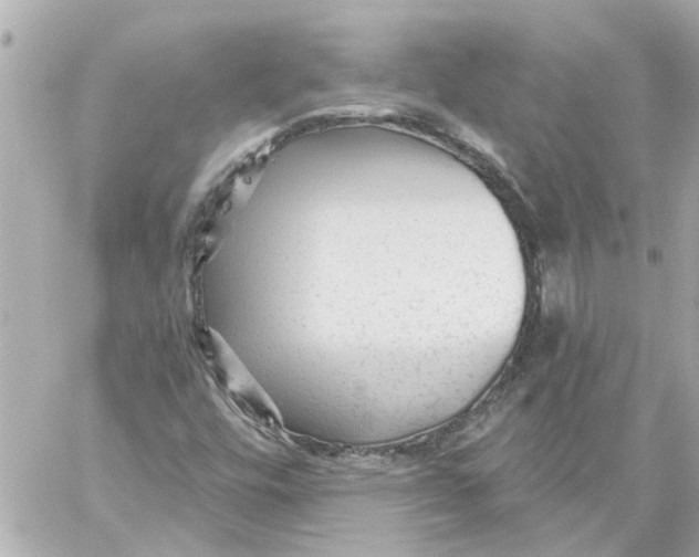 X0000059081448200511041809