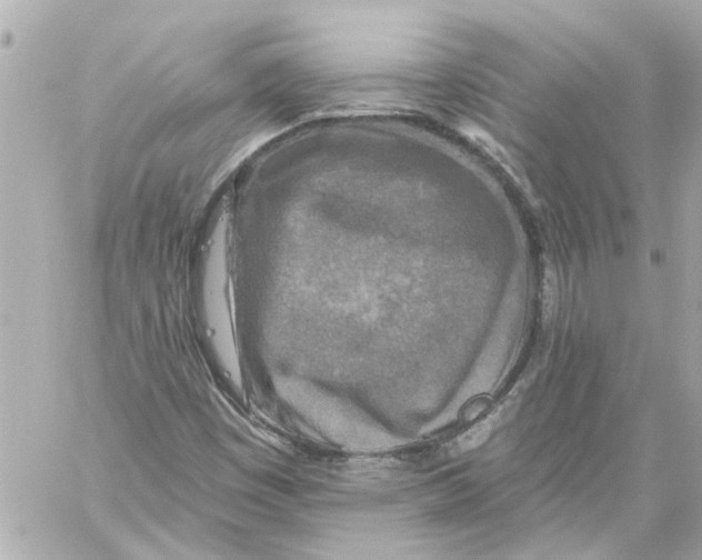 X0000059081449200511041809