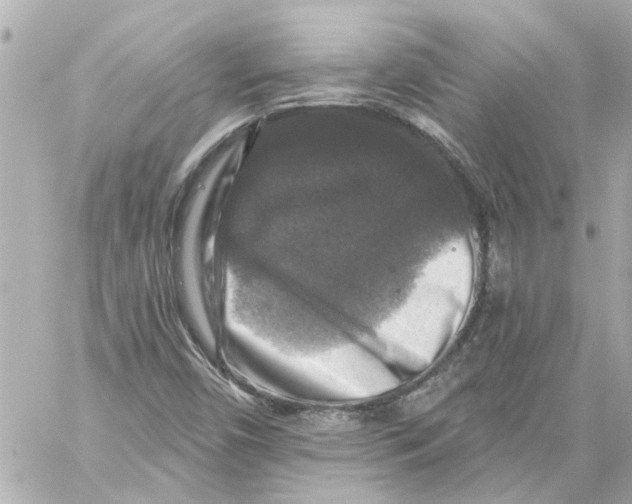 X0000059081450200511041809