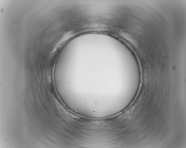 X0000059081451200511041809