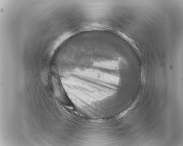 X0000059081453200511041809