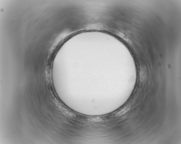 X0000059081454200511041809