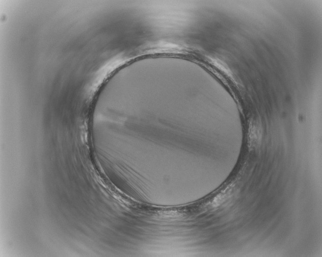 X0000059081455200511041809