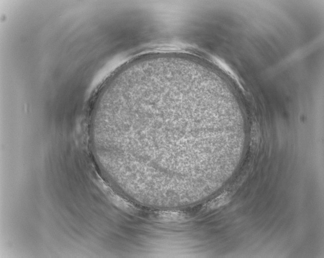 X0000059081456200511041809