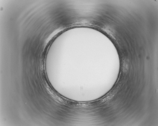 X0000059081458200511041808