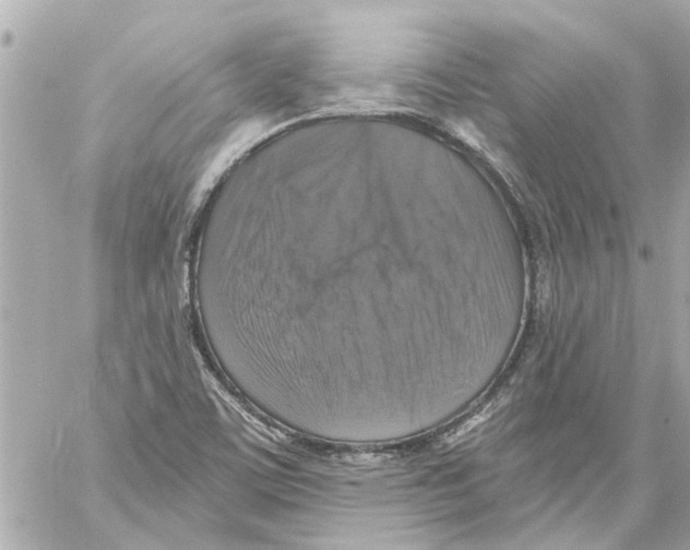 X0000059081459200511041808