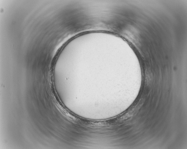 X0000059081460200511041808