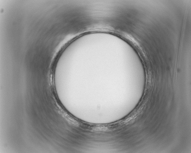 X0000059081462200511041808