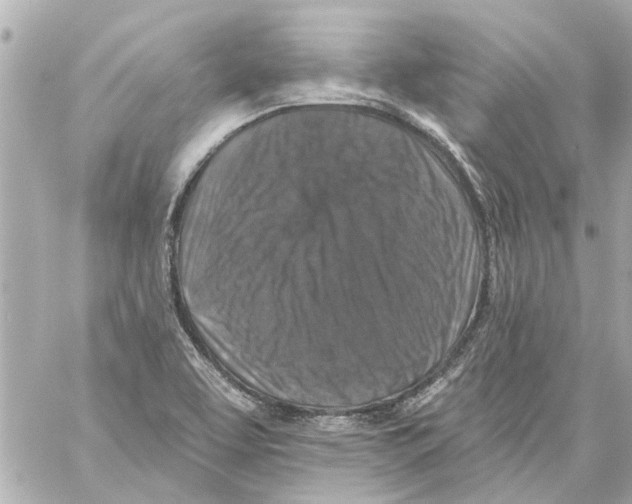 X0000059081463200511041808