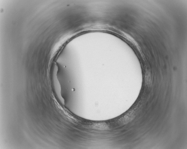 X0000059081464200511041808