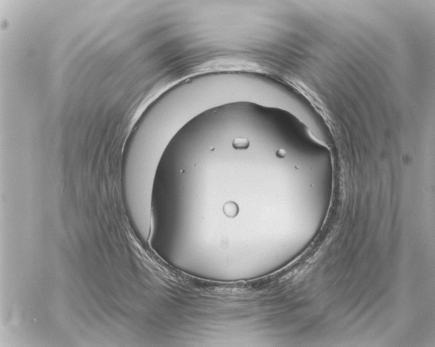 X0000059081465200511041808