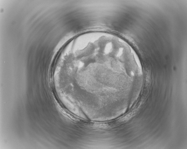 X0000059081466200511041808