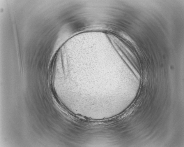 X0000059081467200511041808