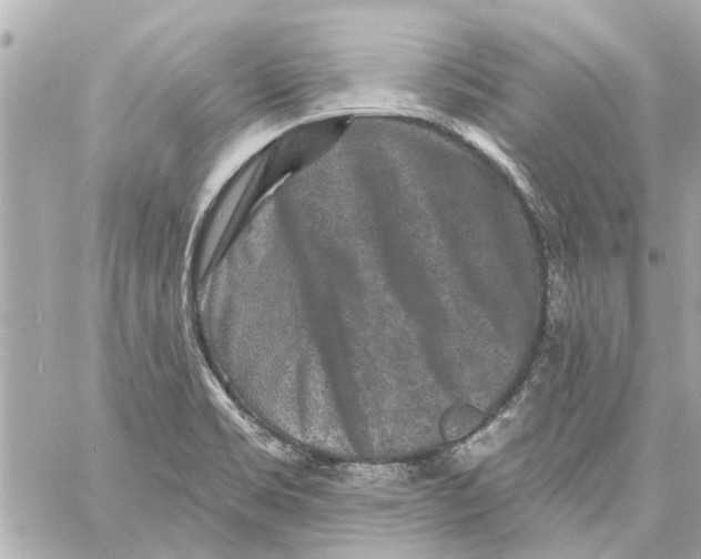 X0000059081469200511041808