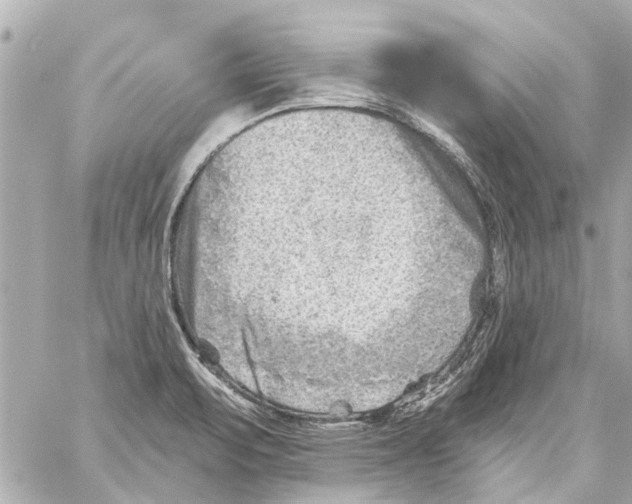 X0000059081471200511041808