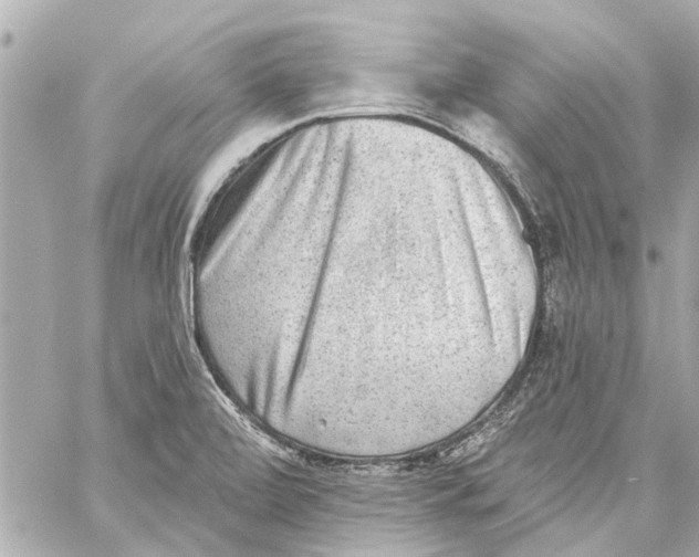 X0000059081472200511041808