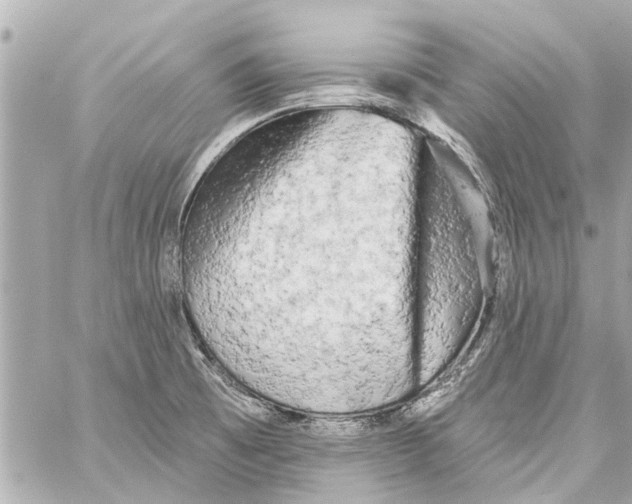 X0000059081473200511041808