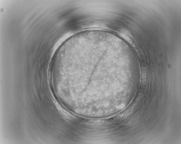 X0000059081474200511041808