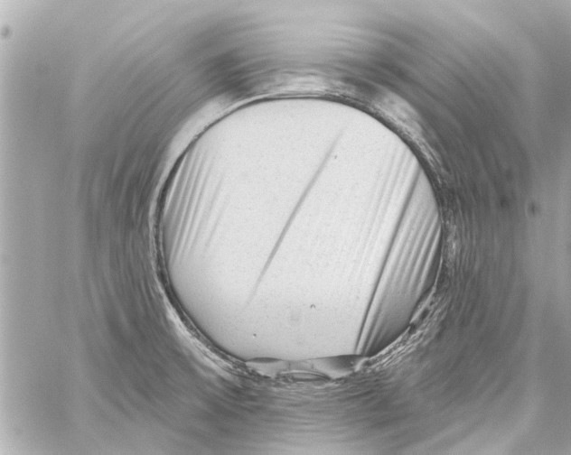 X0000059081475200511041808