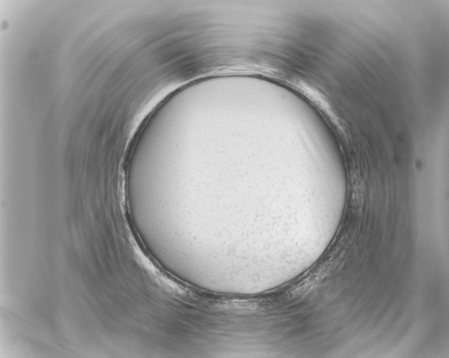 X0000059081476200511041808