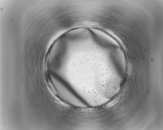 X0000059081477200511041808