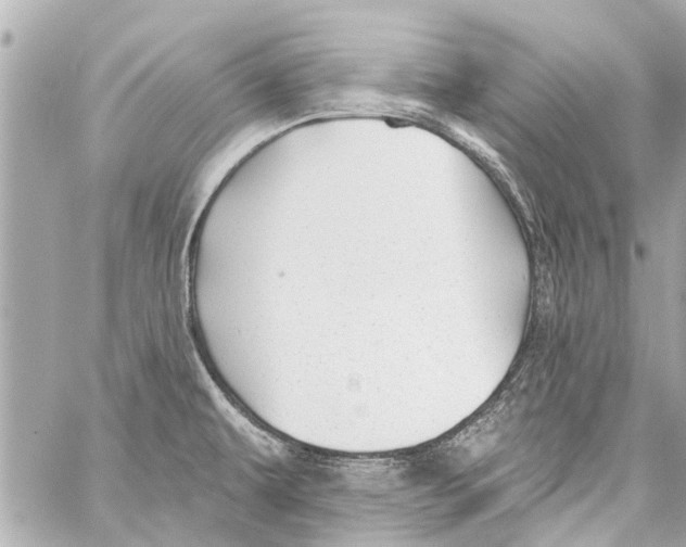 X0000059081479200511041808