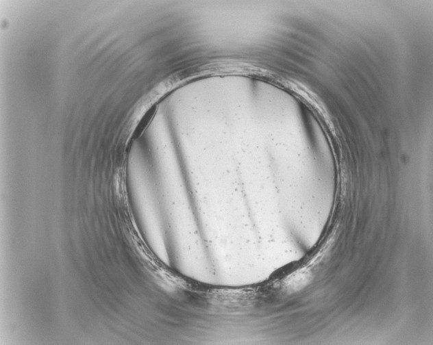 X0000059081481200511041808