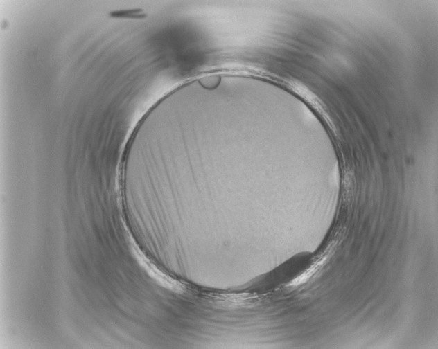 X0000059081482200511041808