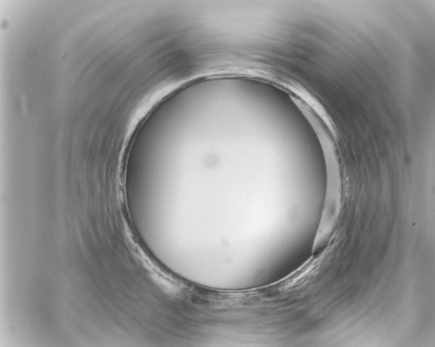 X0000059081485200511041808