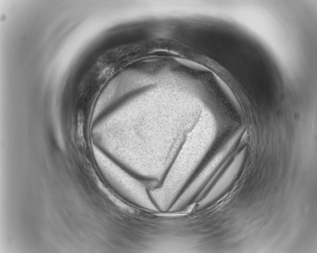 X0000059081487200511041808