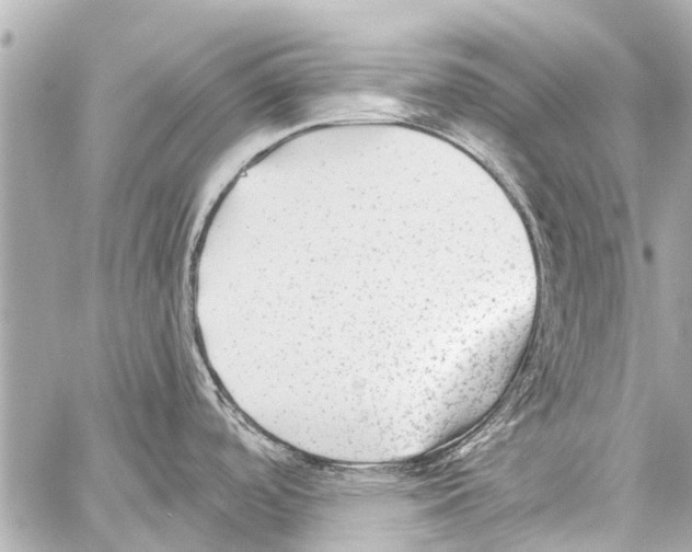 X0000059081488200511041808