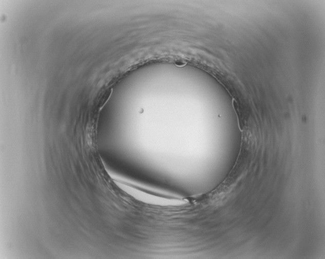 X0000059081490200511041807