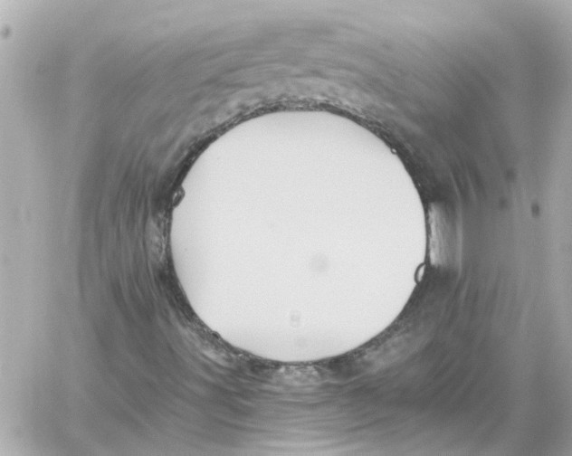 X0000059081491200511041807