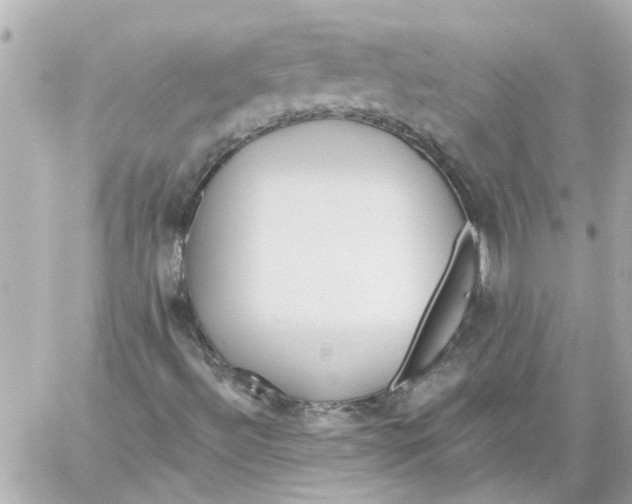 X0000059081492200511041807