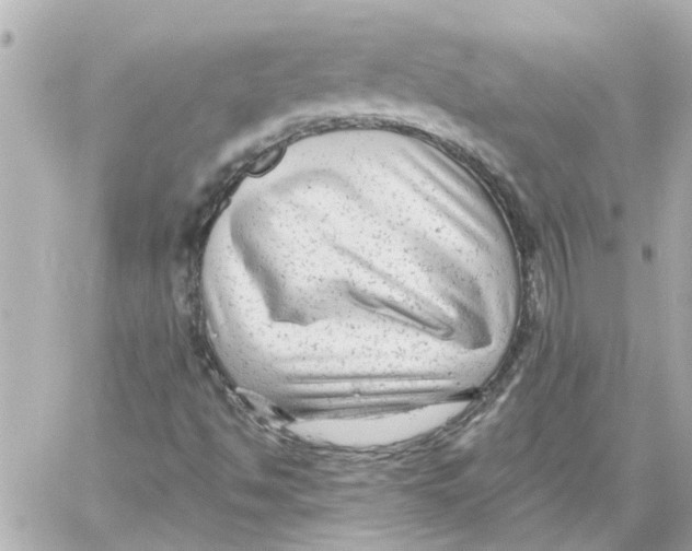 X0000059081494200511041807