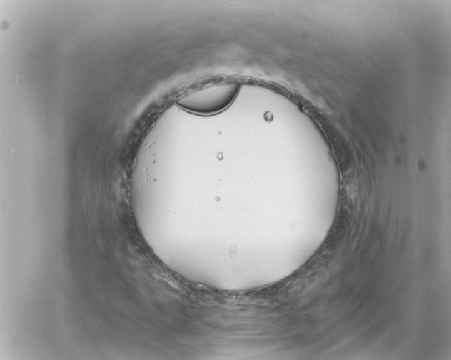 X0000059081495200511041807