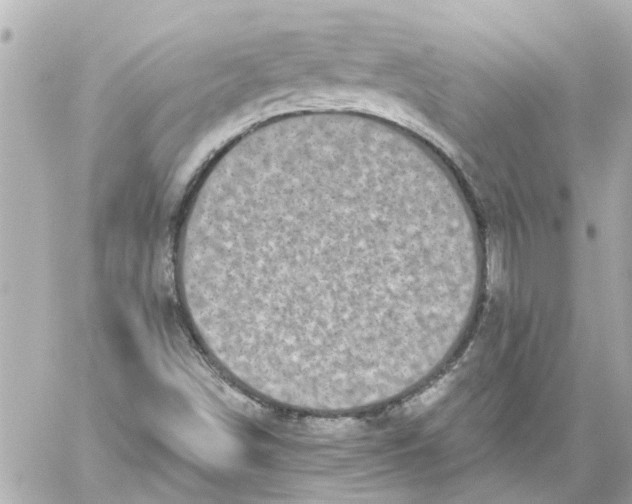 X0000059081498200511041807