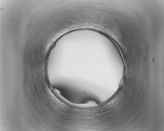 X0000059081500200511041807