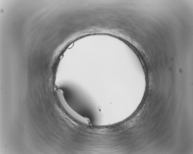 X0000059081502200511041807