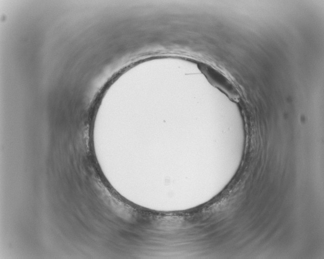 X0000059081503200511041807