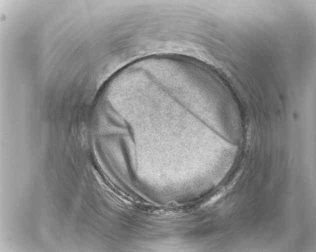 X0000059081505200511041807