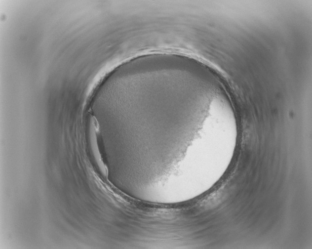 X0000059081506200511041807