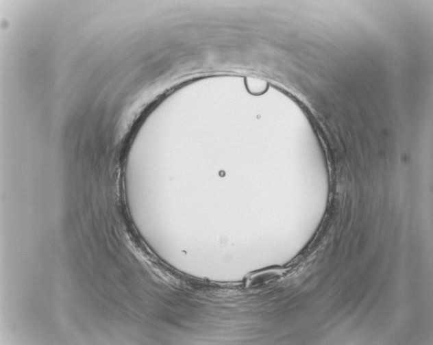 X0000059081507200511041807