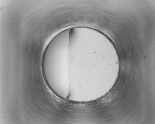 X0000059081508200511041808