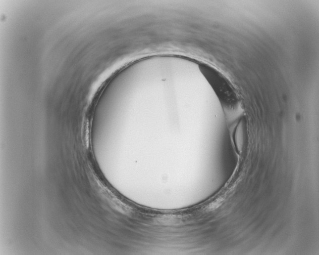 X0000059081510200511041808