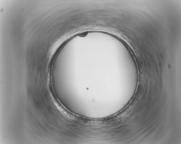 X0000059081511200511041808